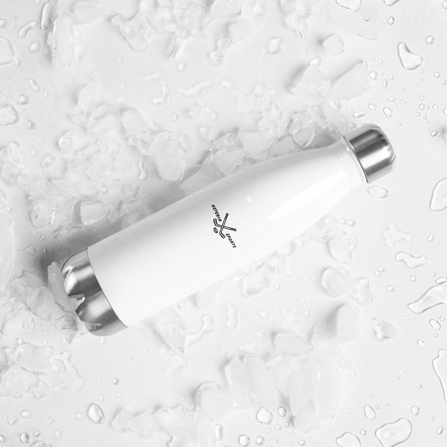Stainless Steel Water Bottle